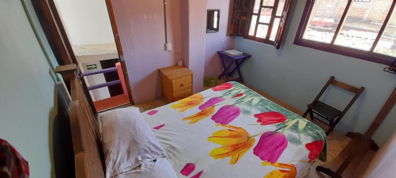 Kukulkan Hostal Сан-Кристобаль-де-Ла-Касас Экстерьер фото